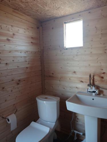 Wild Rest in Unknown City, Armenia