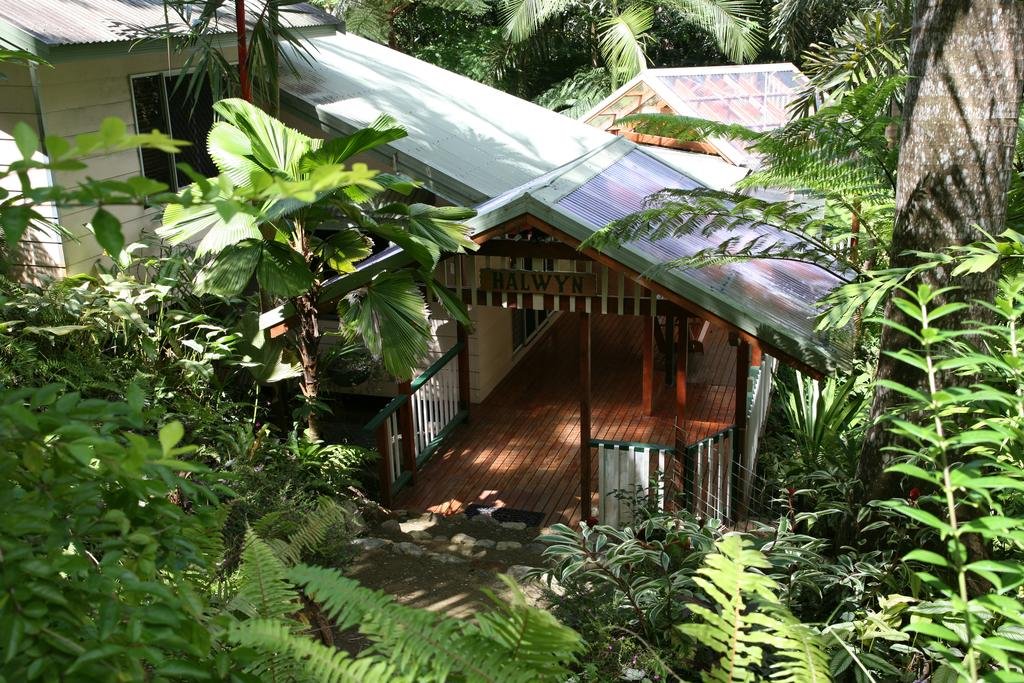 Daintree Secrets Rainforest Sanctuary - last minute hotel in Unknown City