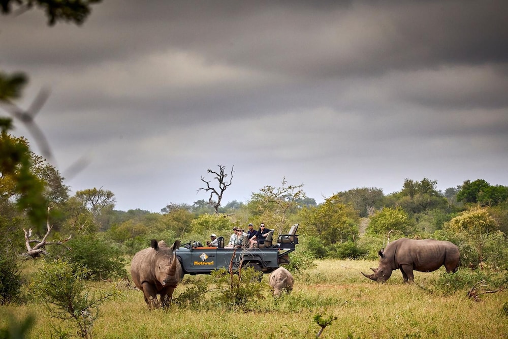 Motswari Private Game Reserve by NEWMARK — 4-Star Luxury Hotel in Hoedspruit, South Africa