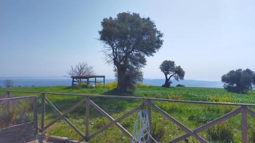 Villetta a schiera trilocale cod 397 Taunus Vacanze in Numana, Italy