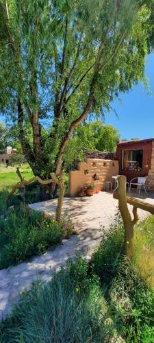 Cabaña El Cardón casita en el campo quebradeño in Humahuaca, Argentina