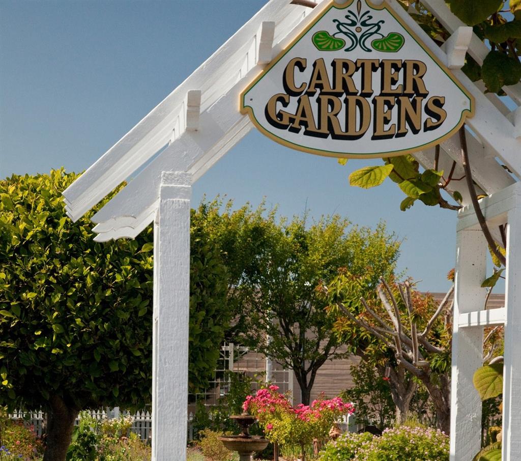 Carter House Inns - photo 5