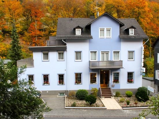 Hotel Ricarda — hotel in Schlangenbad