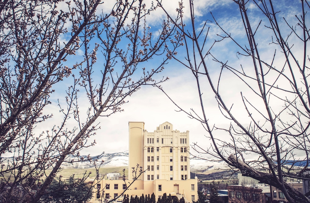 Ashland Springs Hotel - photo 59