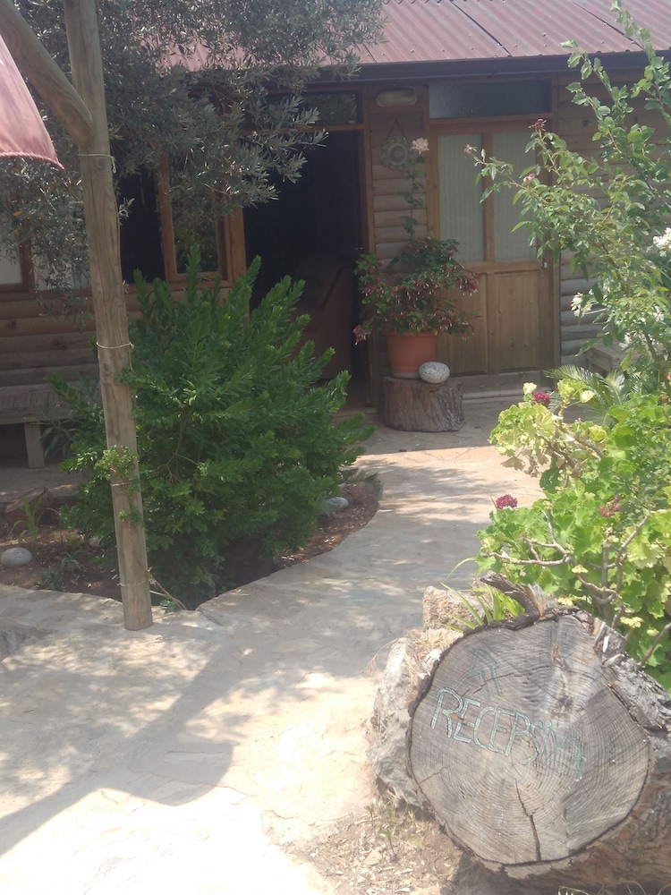 Olive Garden Kabak — Fethiye — photo 2