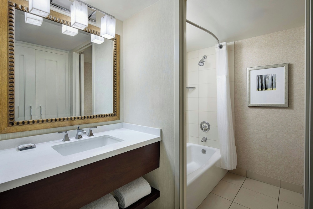 Marriott St. Louis West - photo 47