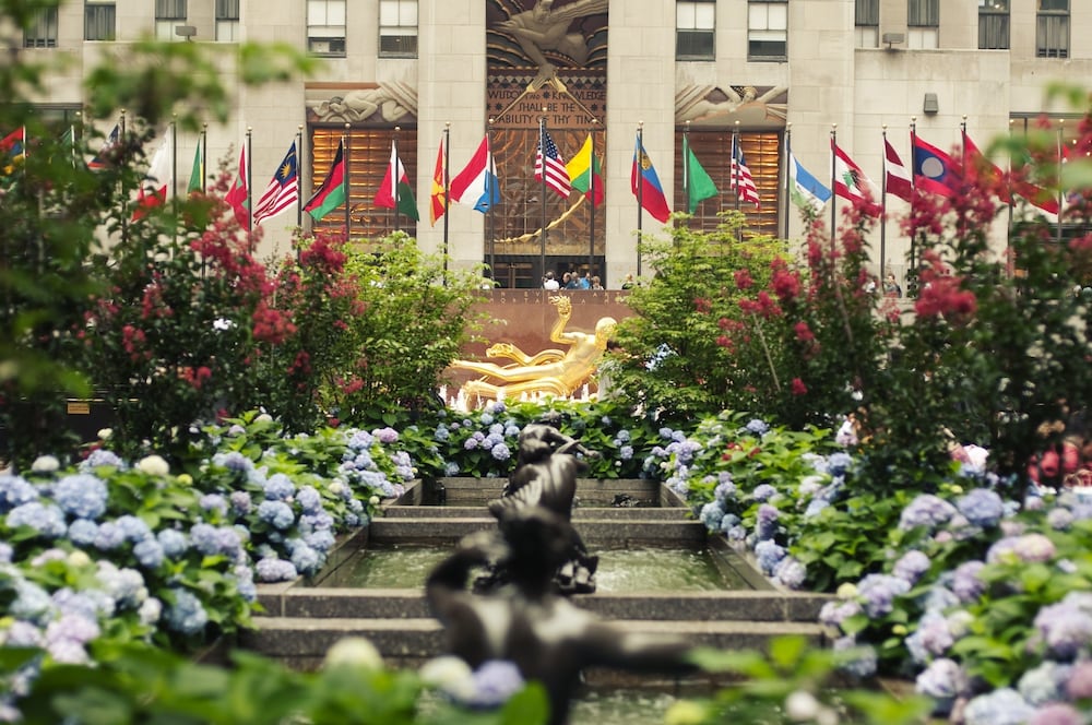 Renaissance New York Chelsea Hotel - photo 14