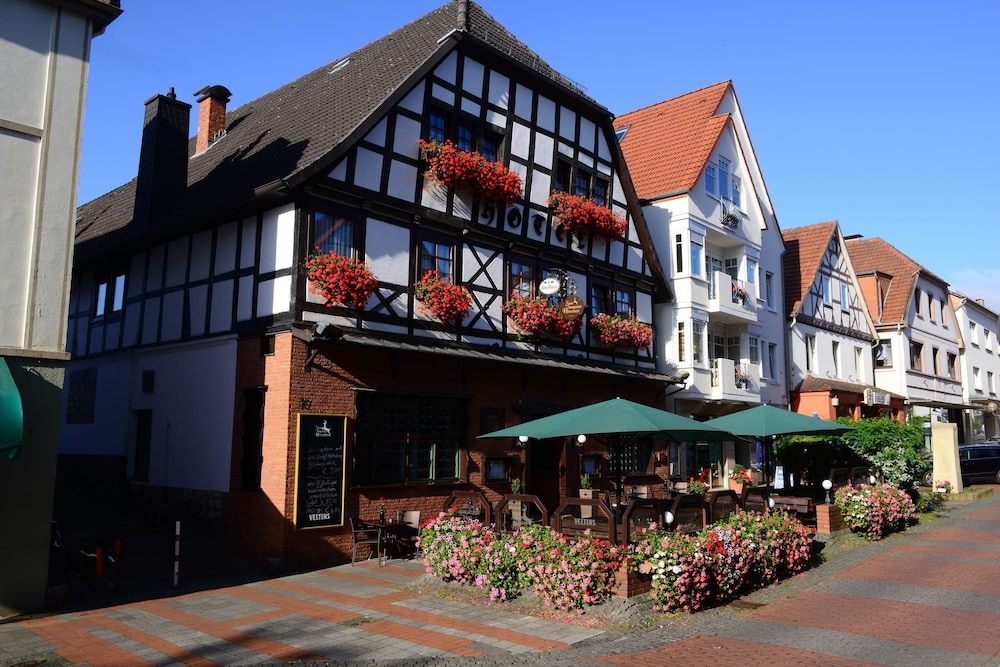 Hotel zum braunen Hirschen - carbon neutral hotel in Bad Driburg