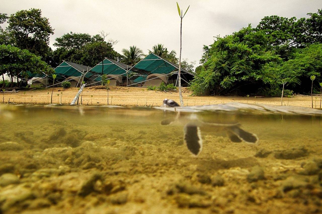 Walai Penyu Resort Campground in Sandakan, Malaysia