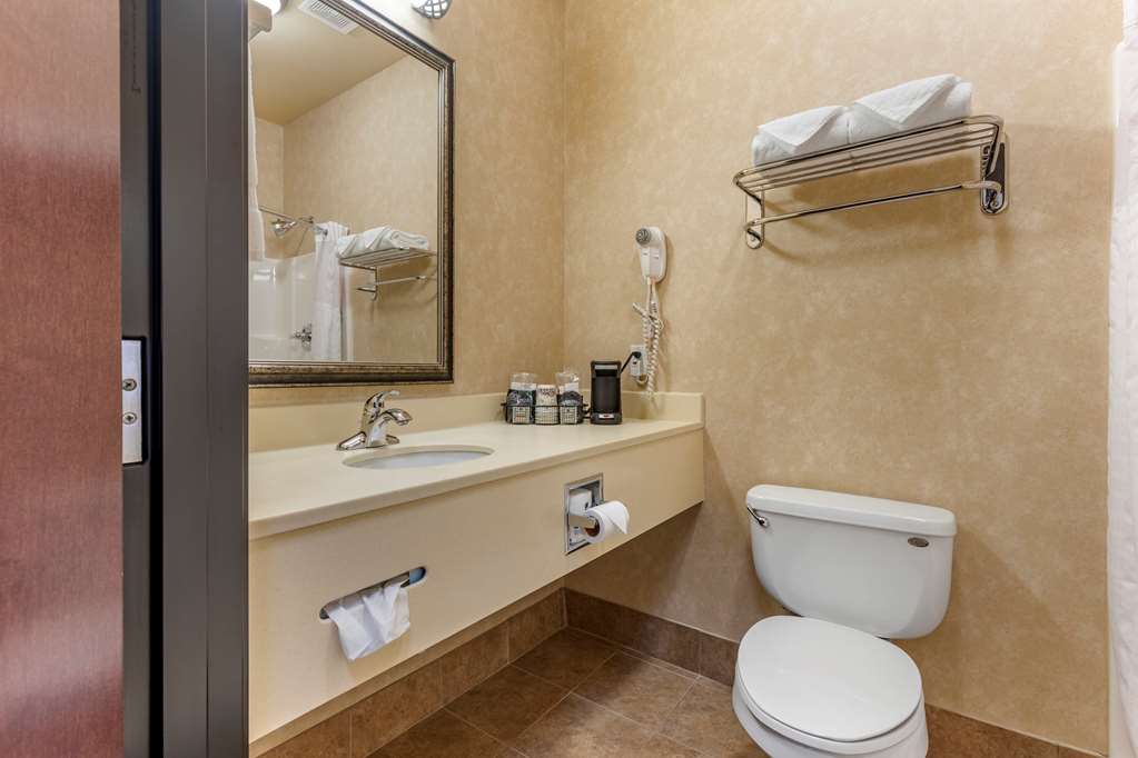 Comfort Inn & Suites Russellville I 40 - photo 28