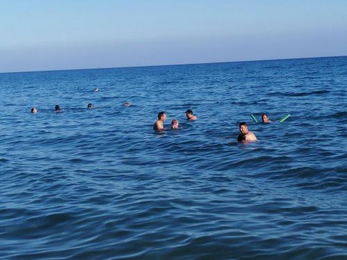 Anamua in Unknown City, Turkey