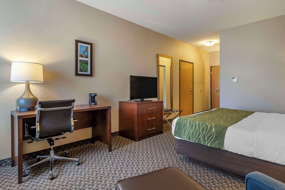Comfort Inn Charlotte - photo 7