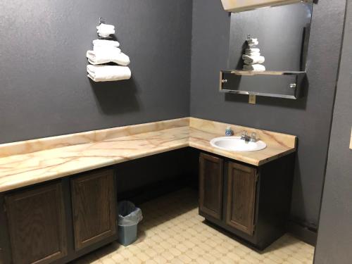 The Golden Bear Motel — hotel in Tok