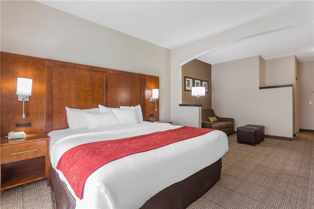 Comfort Suites Salisbury I 85 - photo 8