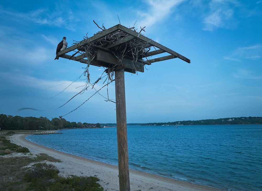 Silver Sands Motel & Beach Bungalows - photo 92