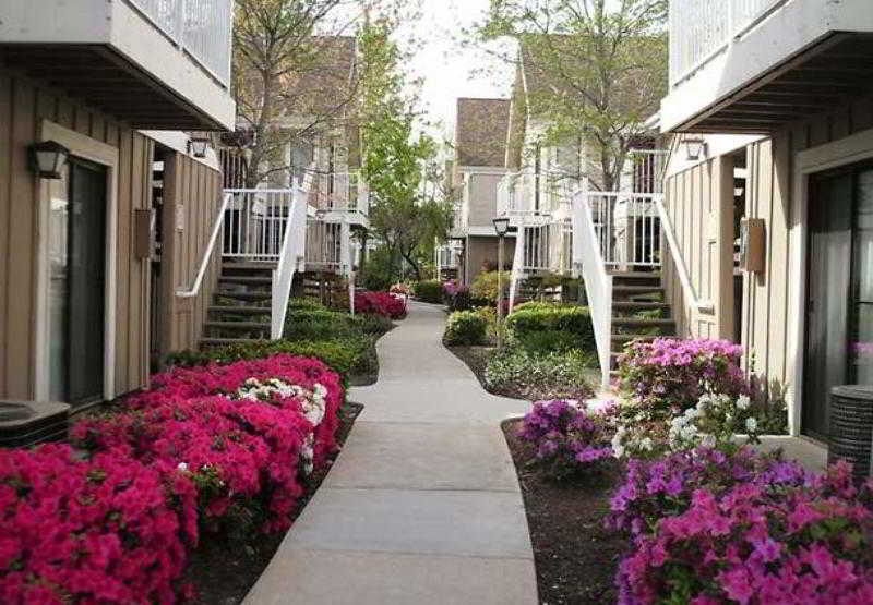 Residence Inn by Marriott Sacramento Cal Expo - photo 12