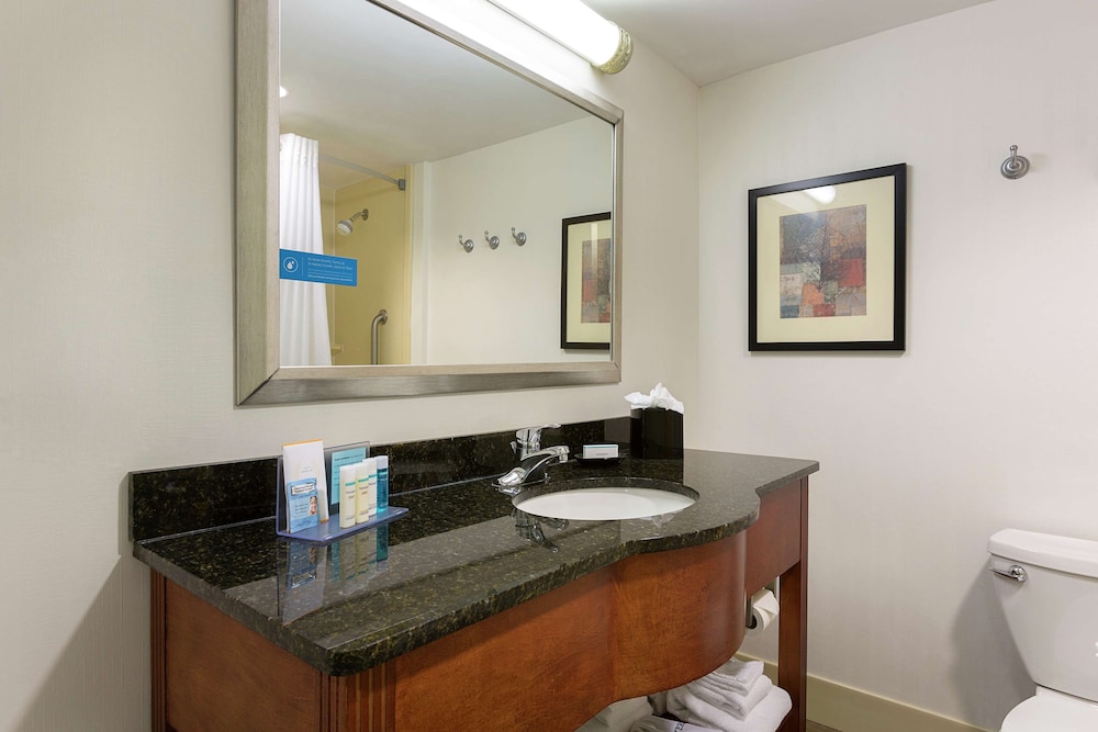 Hampton Inn Charlotte Belmont at Montcross - photo 13