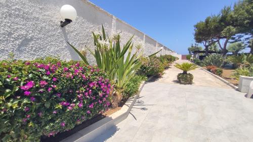 Seagull Apartments Bari Sea & Airport — 4-Star Luxury Hotel in Bari, Italy