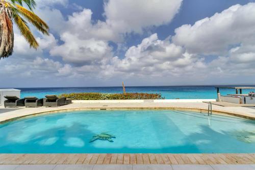 Belmar Oceanfront Apartments 21 right on the ocean with diving facilities — 4-Star Luxury Hotel in Kralendijk, Bonaire, Sint Eustatius and Saba