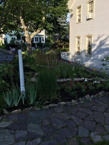 The Black Boar Inn - photo 76