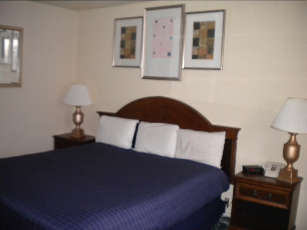 Bossier Inn and Suites - photo 9