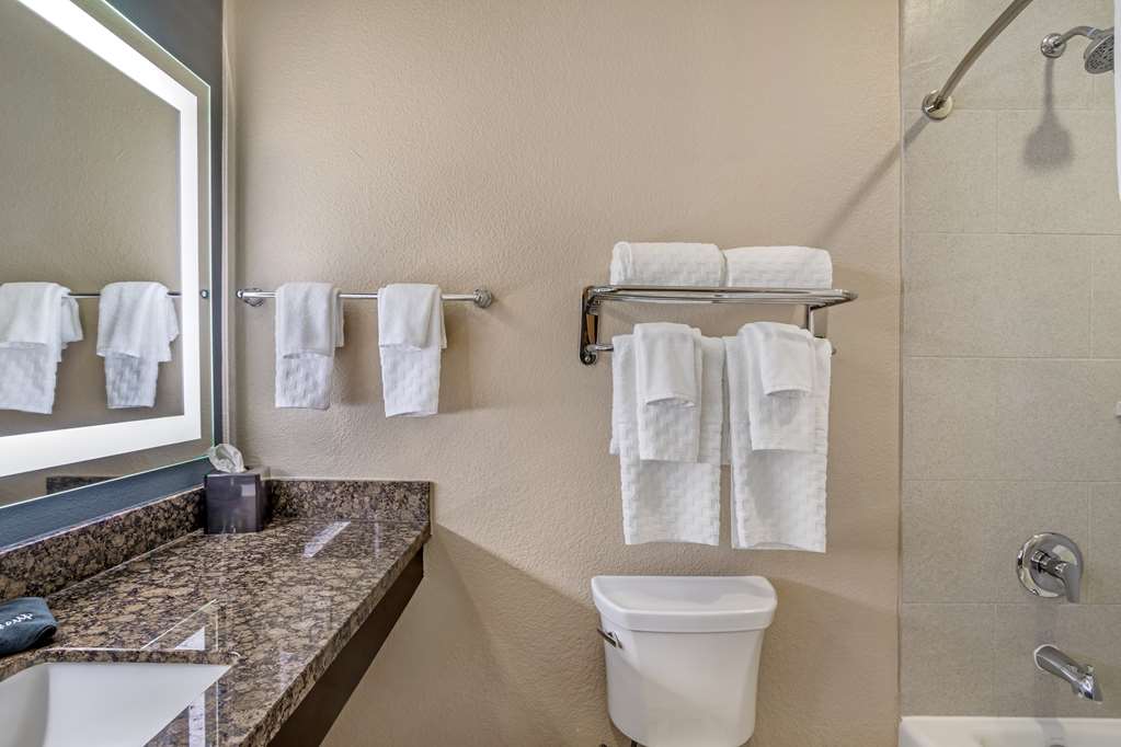 Best Western Plus Lake Jackson Inn & Suites - photo 34