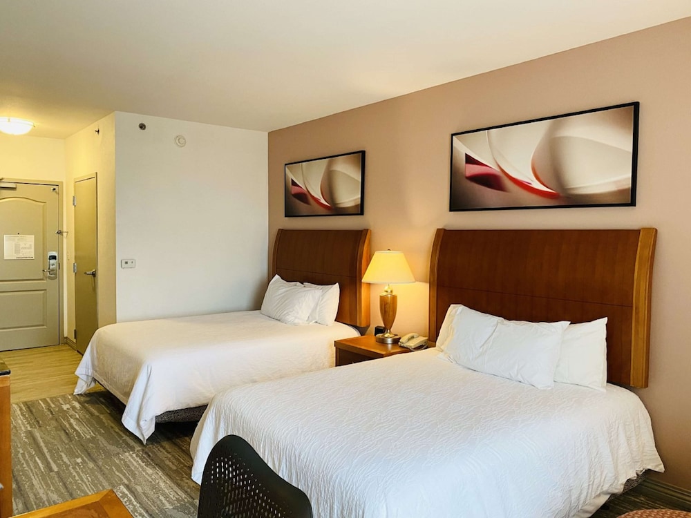 Hilton Garden Inn Columbia - photo 22