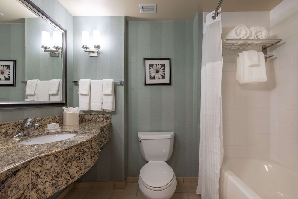 Hilton Garden Inn Lynchburg - photo 25