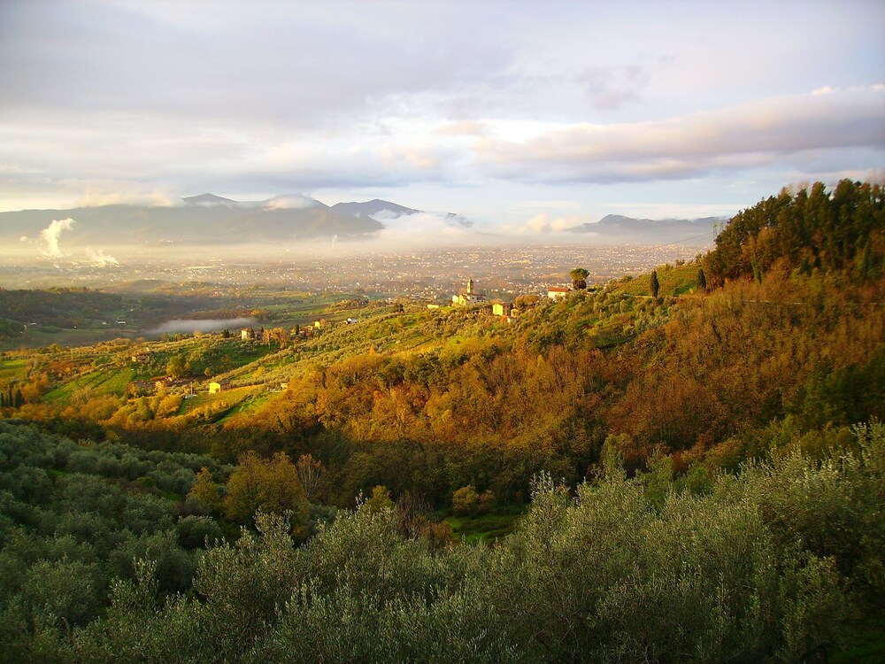 Fattoria Gambaro di Petrognano — hotel in Capannori