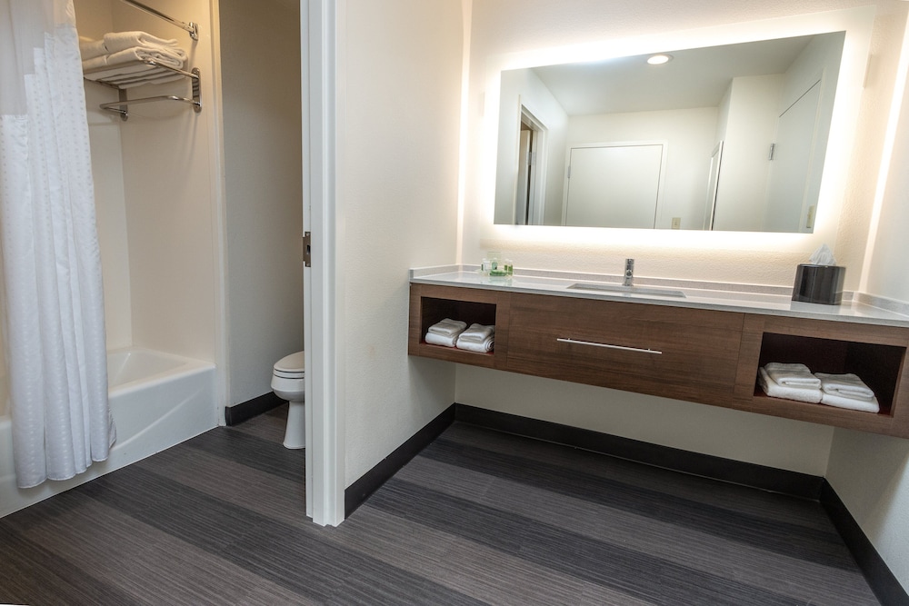 Holiday Inn Hotel & Suites Memphis Wolfchase Galleria by IHG - photo 23