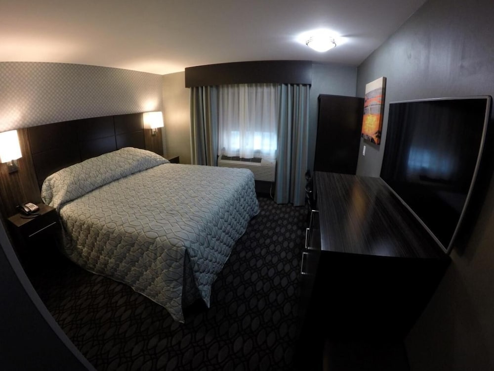 Red Carpet Inn Elmwood Park - photo 13