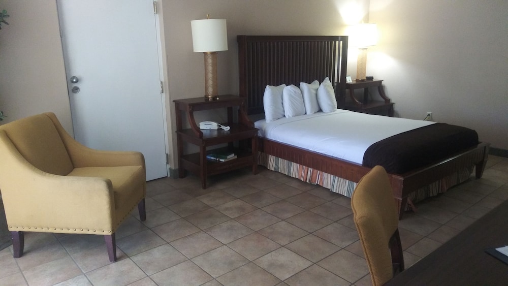 Vista Inn Lake Tarpon - photo 14