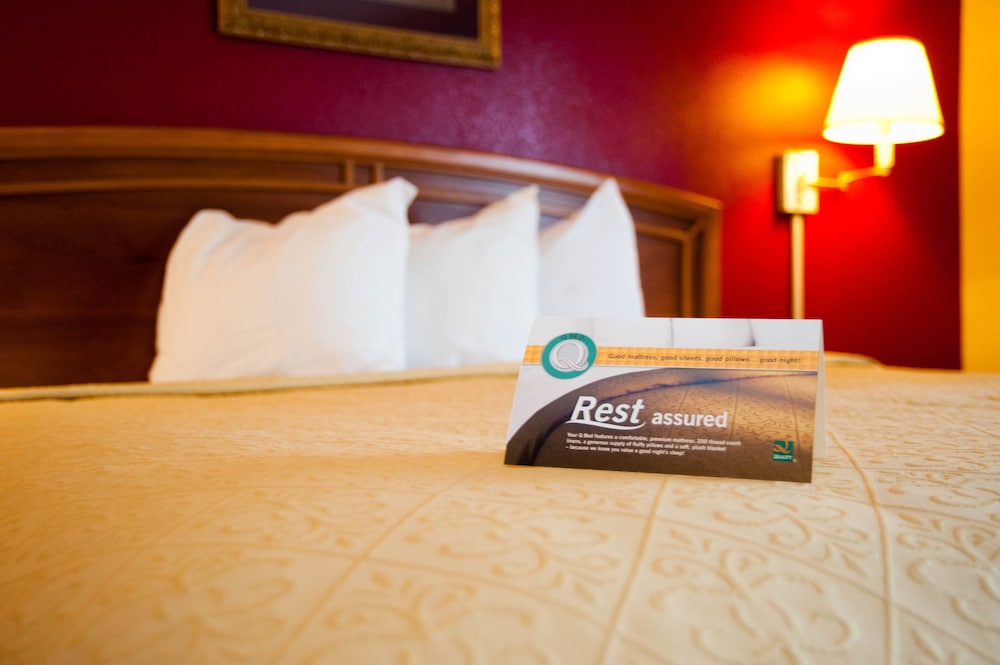 Quality Inn & Suites Airport - photo 6