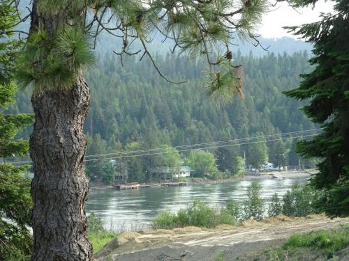 Eagle's Nest Motel - photo 35