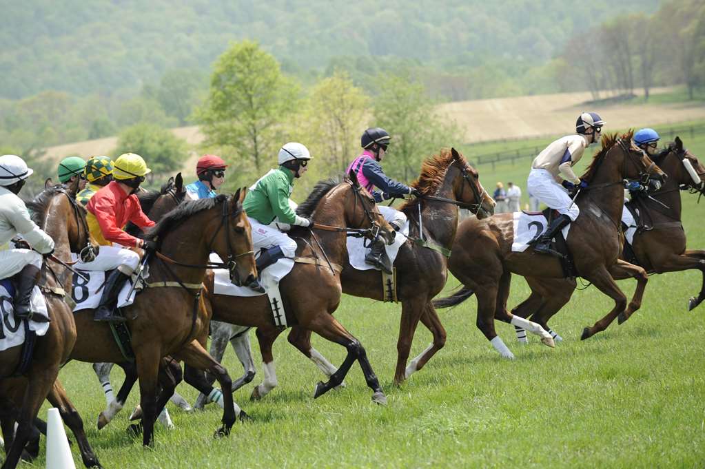 Salamander Resort And Spa - photo 3