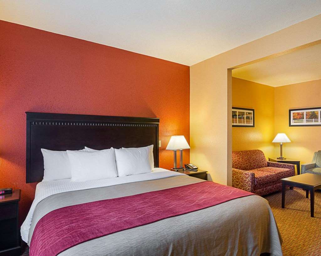 Comfort Inn & Suites Orange Montpelier - photo 18