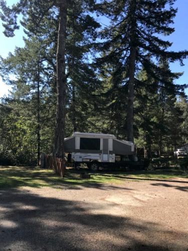 Mercer Lake Resort and Beach - photo 38