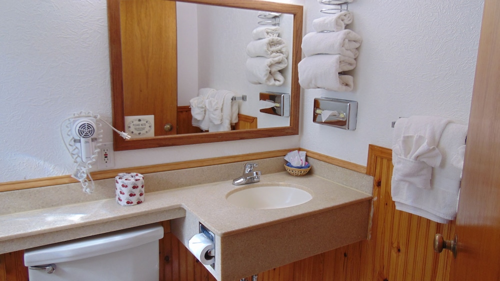 Ouray Inn - photo 28