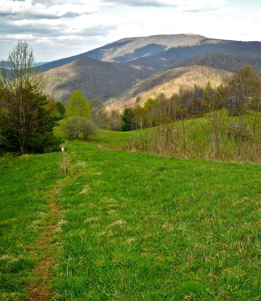 Bald Mountain House Inn at the Wolf Laurel Resort - photo 22