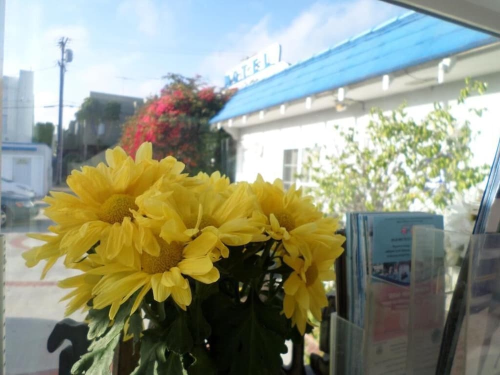 Rest Haven Motel - photo 34