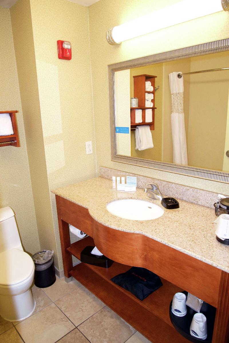 Hampton Inn & Suites Moline Quad City Int'l Aprt - photo 41