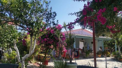 Villa Mimika — Sikyon — photo 2