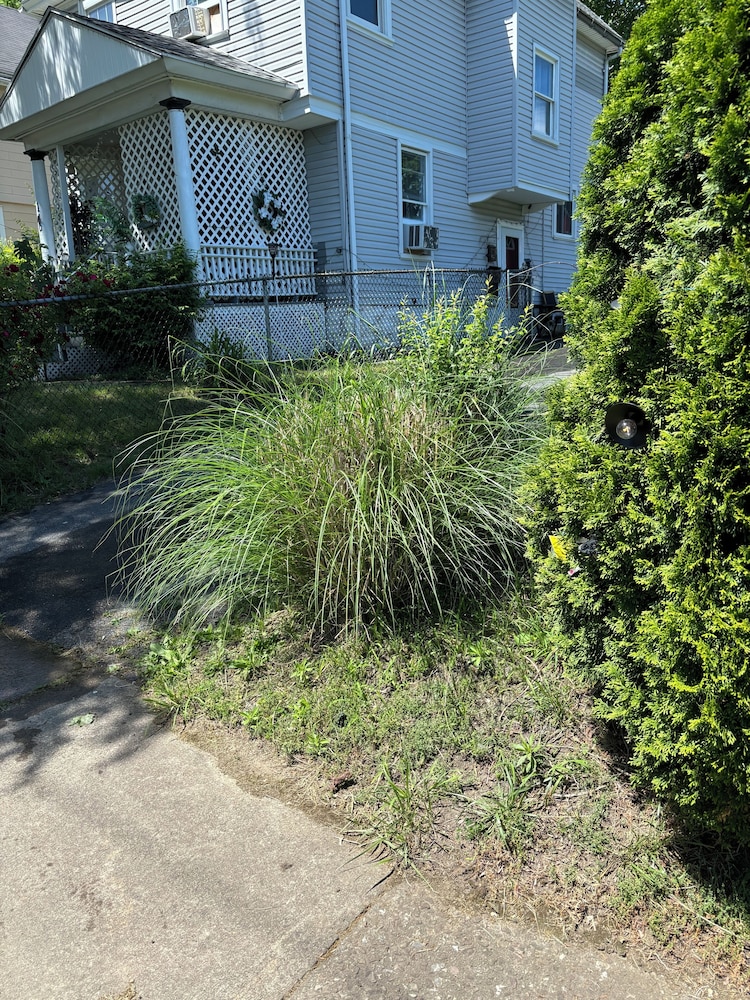 Ms P Place - photo 25
