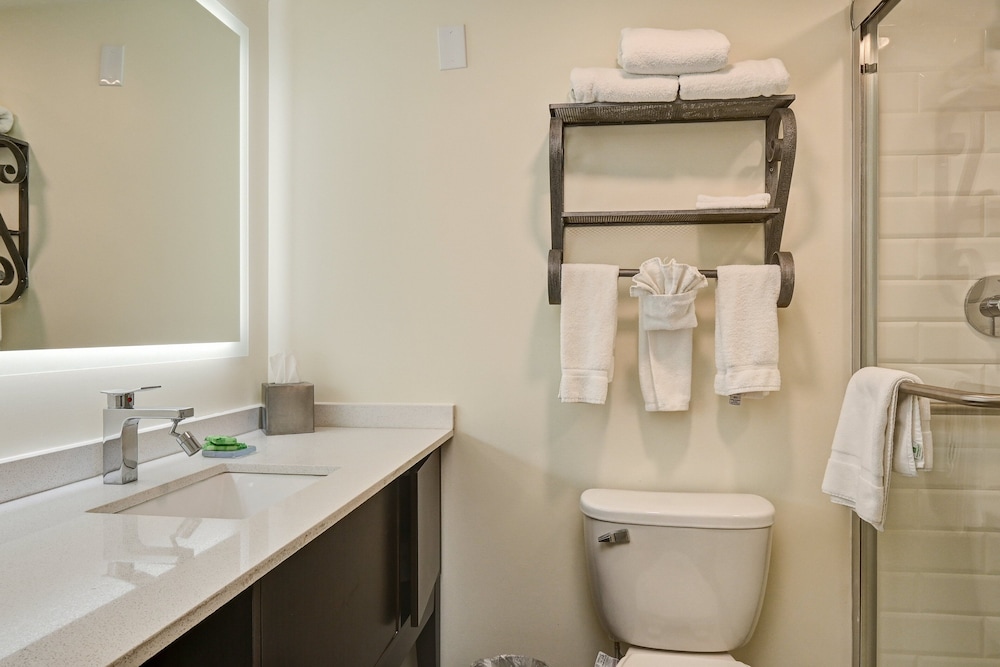 Holiday Inn Piscataway Somerset by IHG - photo 26