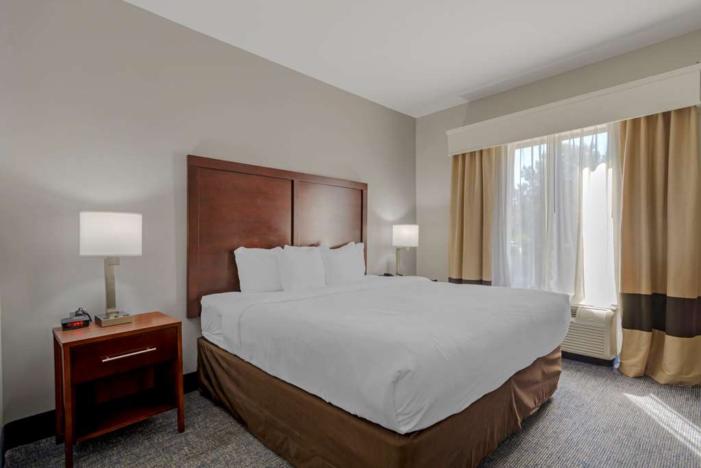 Comfort Suites Stockbridge Atlanta South - photo 31