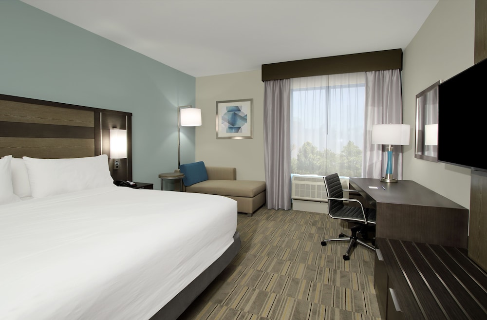 Holiday Inn Express & Suites Lake Charles South Casino Area by IHG - photo 17