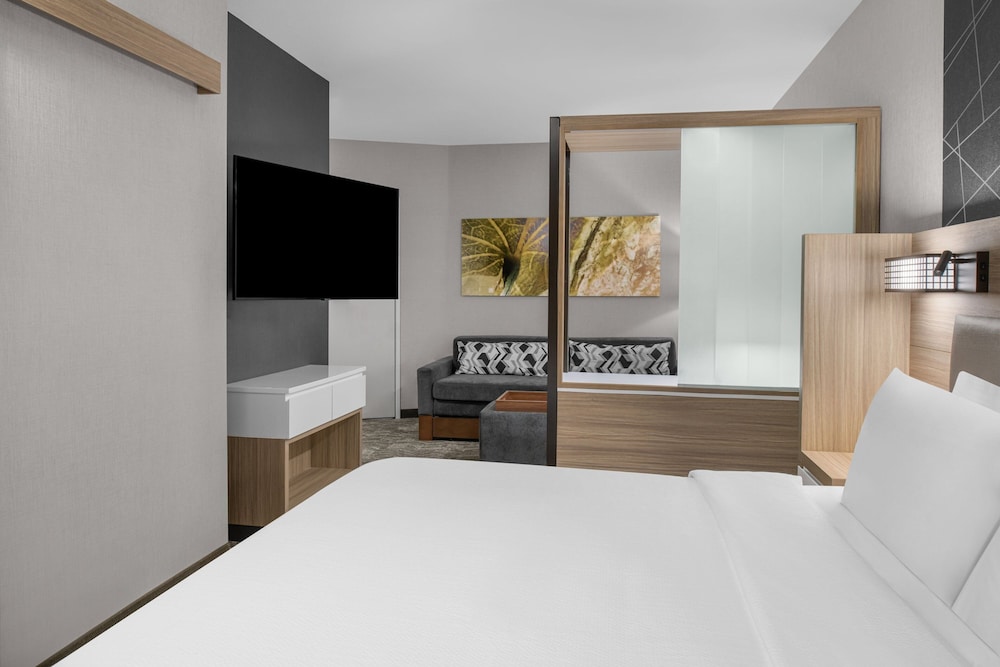 SpringHill Suites by Marriott Riverside Redlands - photo 13