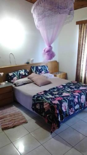 Palmsrus in Hentiesbaai, Namibia