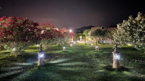 As Casas do Algarve — Faro — photo 3