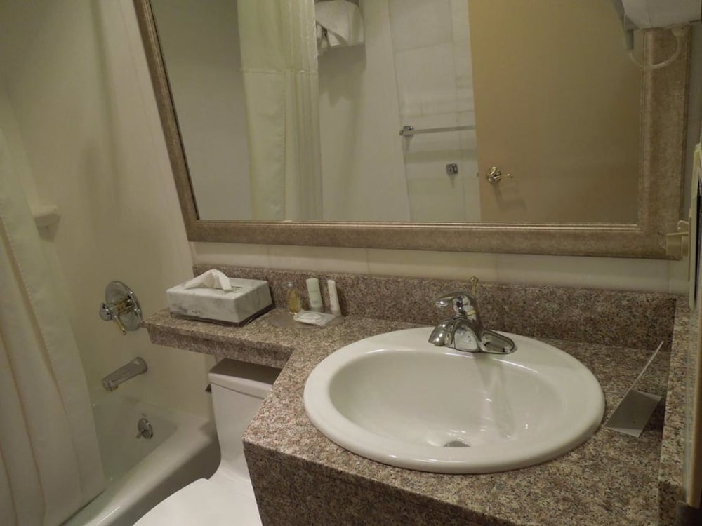 Lex View Inn at JFK Airport - photo 5